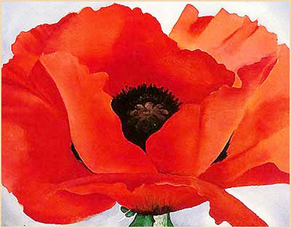 Red Poppy - G. O'Keeffe