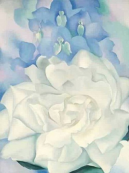 Rosa blanca amb esperó de cavaller no. 2 - G. O'Keefe