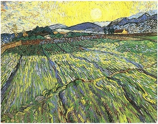 Enclosed field with rising sun