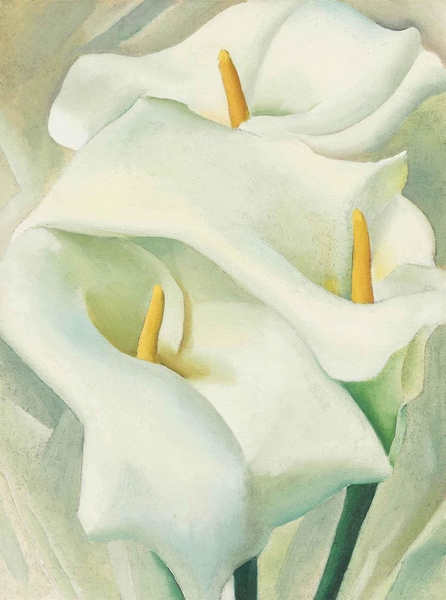 Calla Lilies - Georgia O'Keeffe