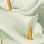 Calla Lilies - Georgia O'Keeffe