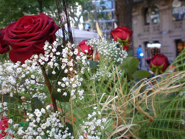 Sant Jordi