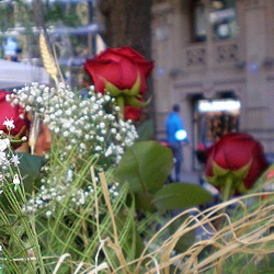 Sant Jordi