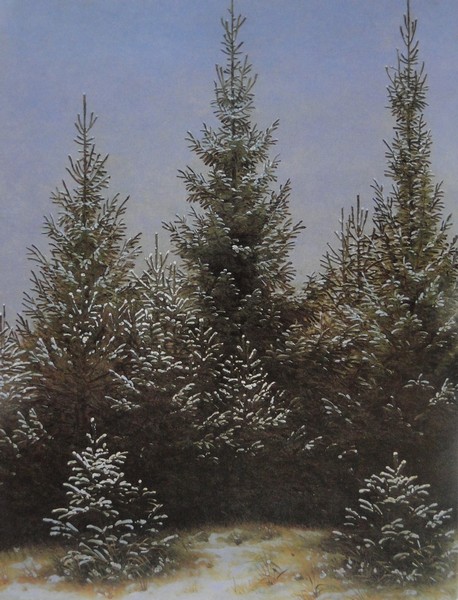 Fichtendickicht im Schnee - Caspar David Friedrich