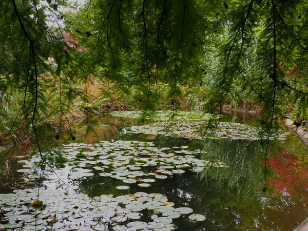 Botanischer Garten Linz