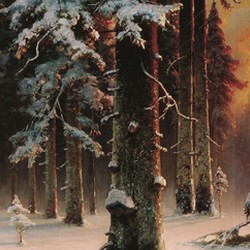 Winter Sunset in a Spruce Forest - Julius Sergius von Klever