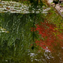 Botanischer Garten Linz