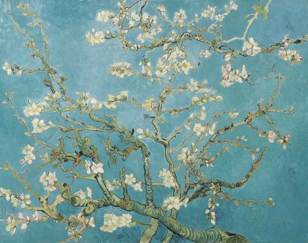 Almond Blossom - Vincent van Gogh